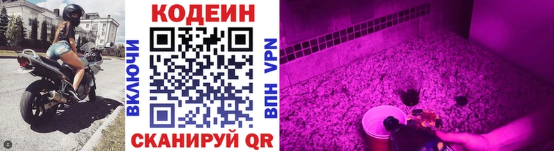 Codein Purple Drank  кракен рабочий сайт  Сегежа 
