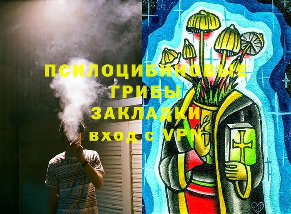 крисы Балахна