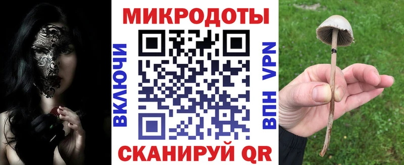 закладки  Сегежа  darknet какой сайт  Галлюциногенные грибы ЛСД 