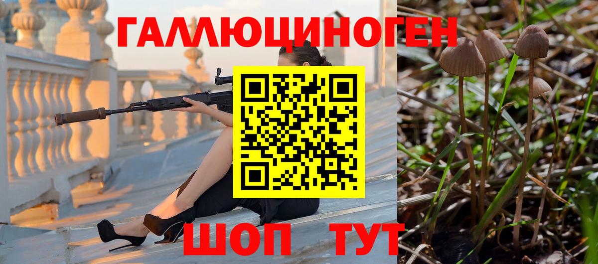 Псилоцибиновые грибы прущие грибы  Вход с VPN  Сегежа 