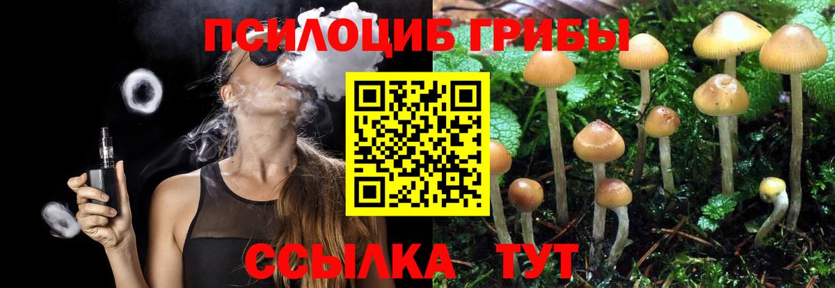 Галлюциногенные грибы MAGIC MUSHROOMS Сегежа